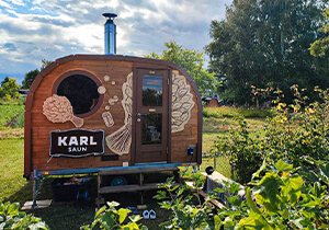 Karl Saun galerii pilt 14