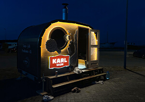 Karl Saun galerii pilt 4